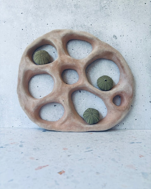 ENSO in raw terracotta